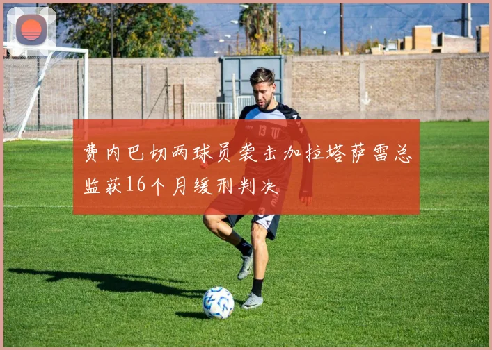 费内巴切两球员袭击加拉塔萨雷总监获16个月缓刑判决