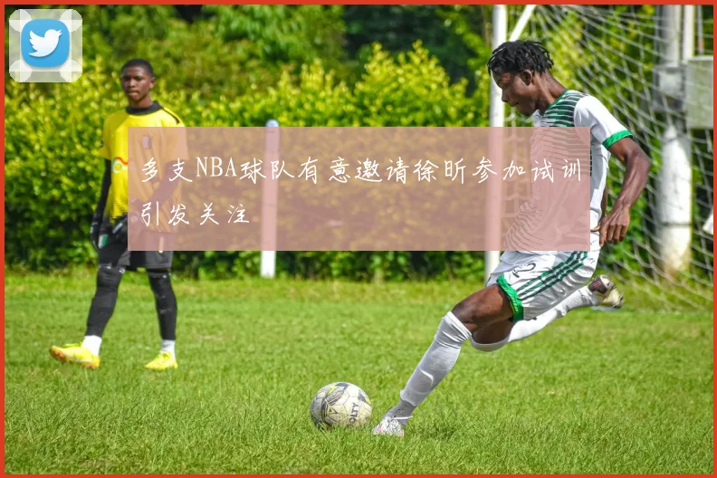 多支NBA球队有意邀请徐昕参加试训引发关注