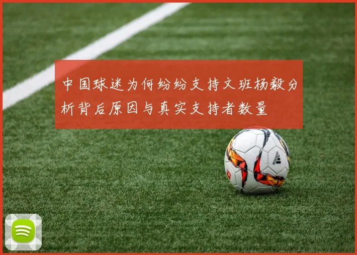 中国球迷为何纷纷支持文班杨毅分析背后原因与真实支持者数量